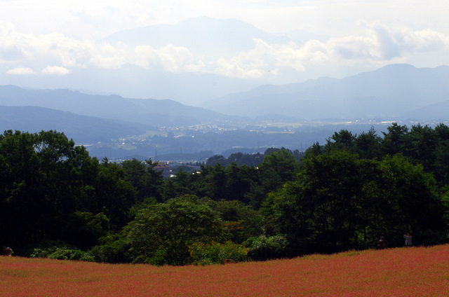 d0186245_3421018.jpg