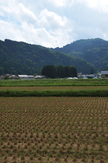 c0093046_845979.jpg