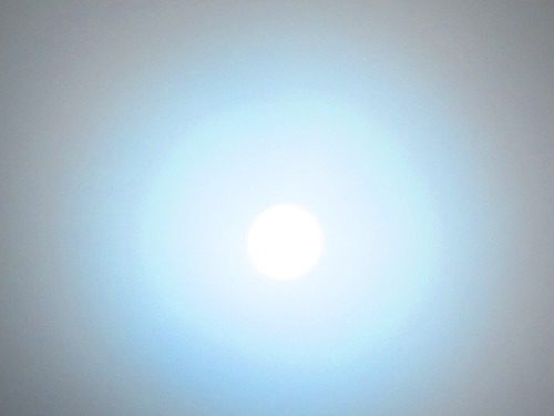 b0160957_9669.jpg