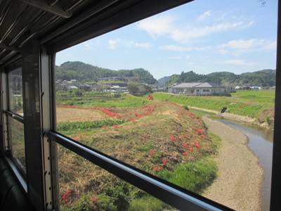 愛媛県西南地域旅情写真コンクール2_e0197164_19272318.jpg