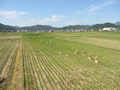 愛媛県西南地域旅情写真コンクール2_e0197164_19275994.jpg