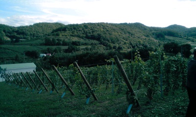 a0119365_22534939.jpg