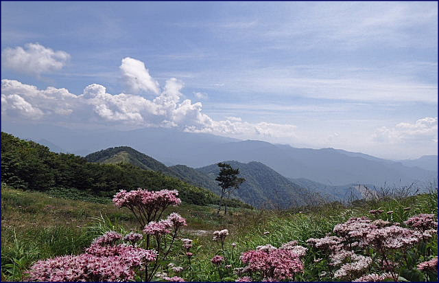 b0053765_15495654.jpg
