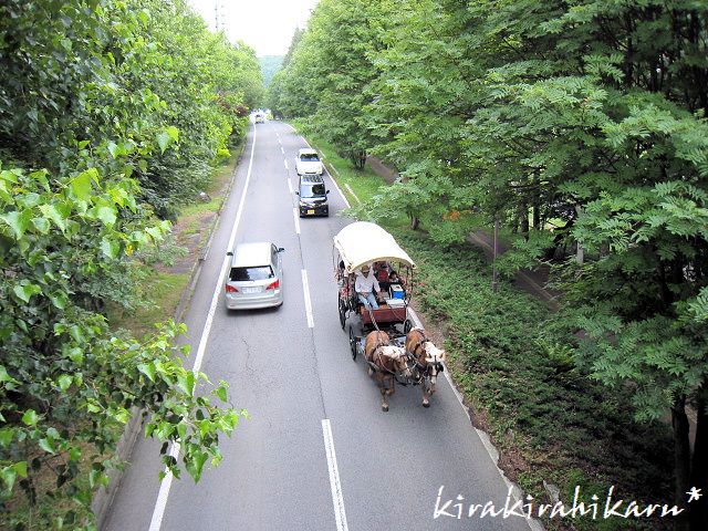 夏の信州ビーナスラインの旅⑨　白樺リゾートファミリーランド　すくすくの森　_e0173670_8515024.jpg