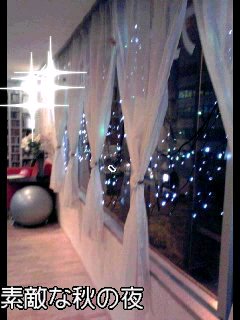 f0200871_0302565.jpg