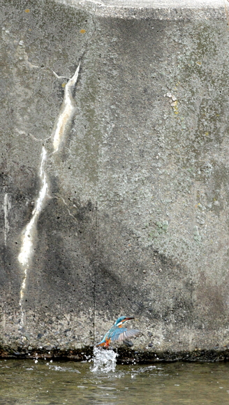 d0262476_13698.jpg