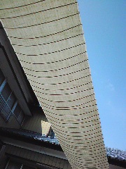 湯通し_b0113990_11312230.jpg
