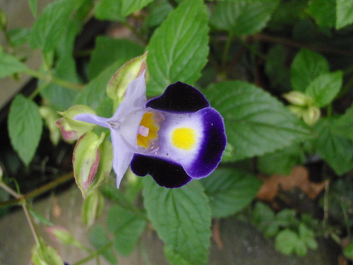 d0034291_17383669.jpg