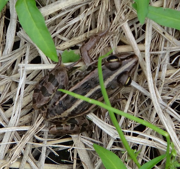 f0125091_12265892.jpg