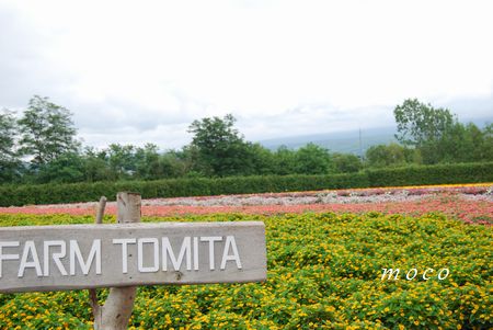 夏休みの過ごし方　北海道旅行　後編_f0193597_2243137.jpg