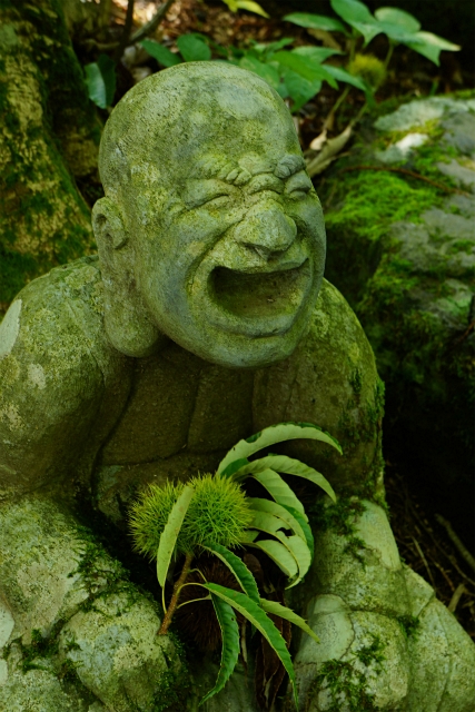 秋の箱根・長安寺_b0145398_03429.jpg