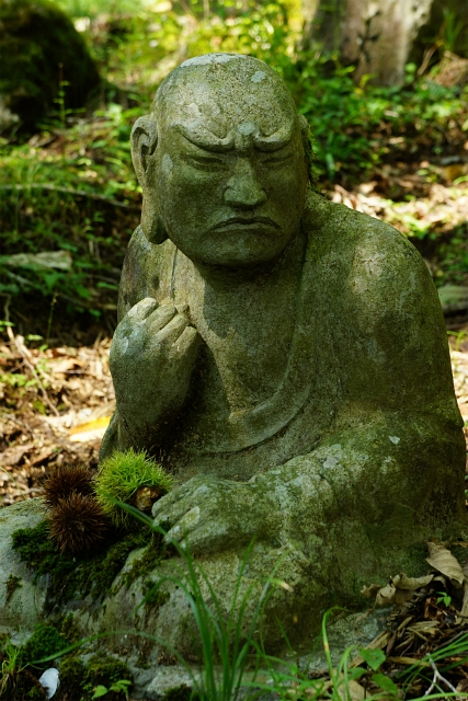 秋の箱根・長安寺_b0145398_04524.jpg