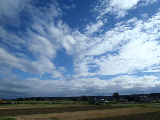 c0164598_16272524.jpg
