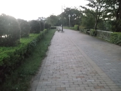 e0245601_1556455.jpg