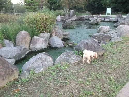 e0245601_1602627.jpg