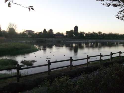 e0245601_1614369.jpg