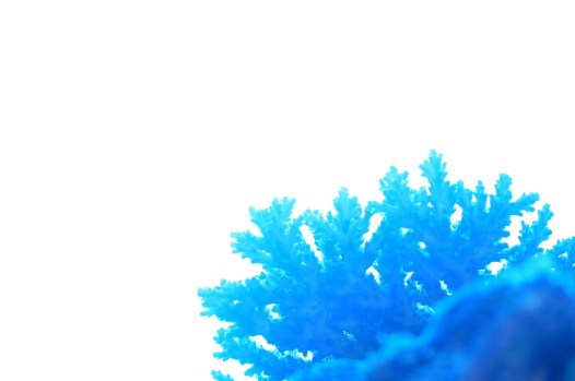 f0177305_0122722.jpg