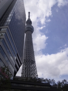 d0005807_833523.jpg