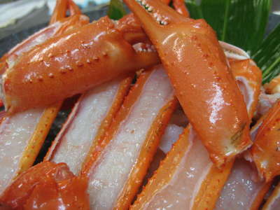 29日に当日だけの料金プランがずらり!今日だけです _d0135908_1304938.jpg