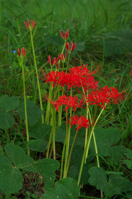 a0263109_16591689.jpg