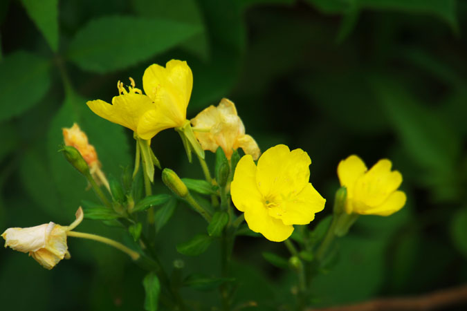 a0263109_16595035.jpg