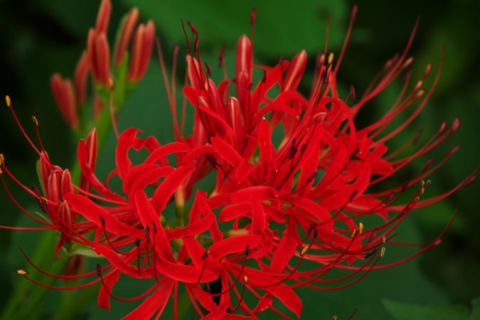 a0263109_170131.jpg