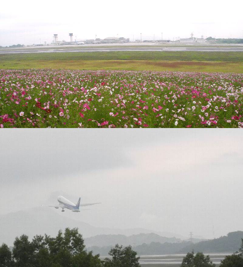 ９月２９日(sat) 小雨 ／ 雨の空港..._a0059311_20273390.jpg