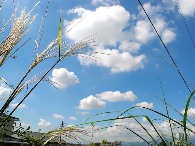 c0248013_20342651.jpg