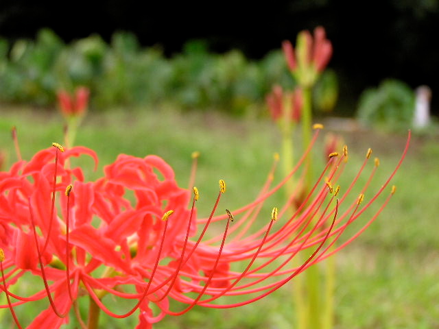 c0248013_20552766.jpg