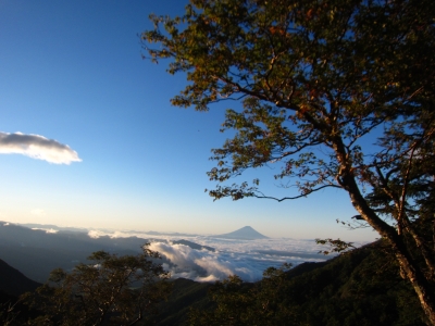 f0177521_112379.jpg