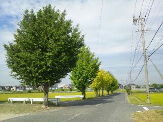 b0247223_1404971.jpg
