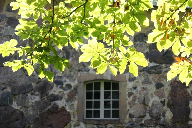 e0250023_846543.jpg