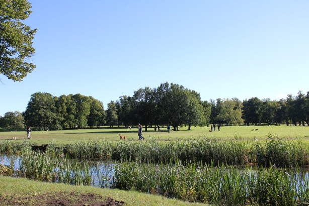 e0250023_8474416.jpg