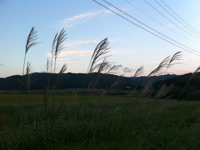 c0225927_10443012.jpg