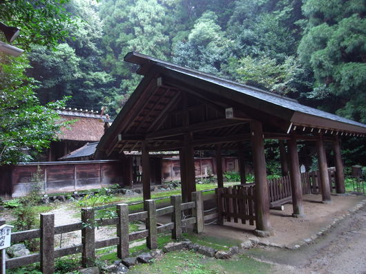 d0178432_814991.jpg