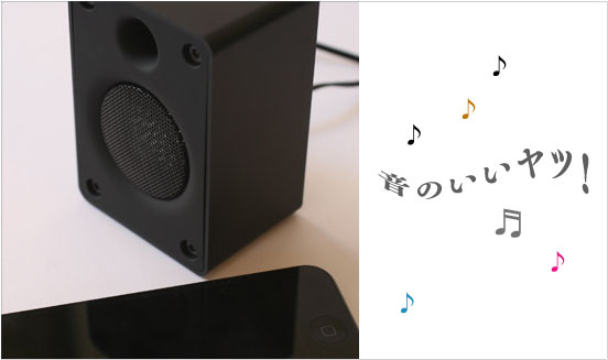 Master speaker。と、アダン。渡辺、奄美大島へ行く。その4_b0147133_16165510.jpg