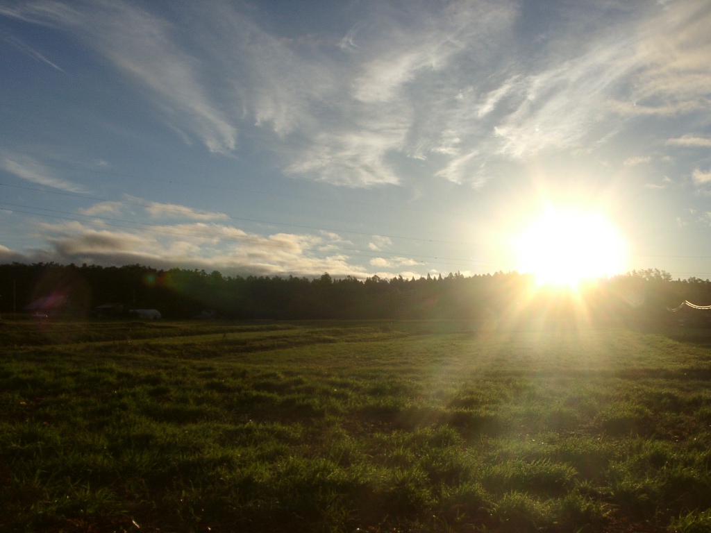 d0007735_631245.jpg