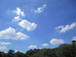 f0038336_842625.jpg