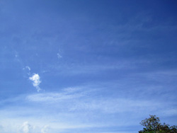 f0038336_844167.jpg