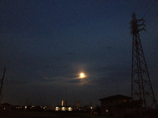 b0190640_21165092.png