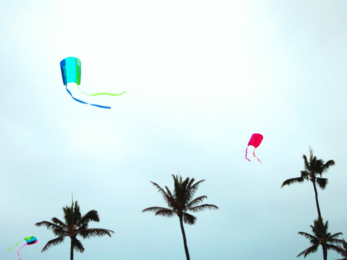 e0040041_21585199.gif