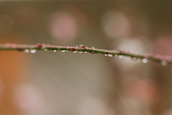 f0229844_0124465.jpg