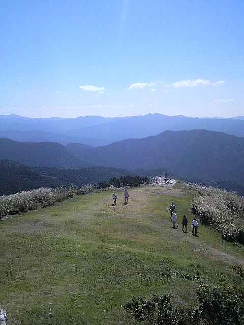 a0095546_22131254.jpg