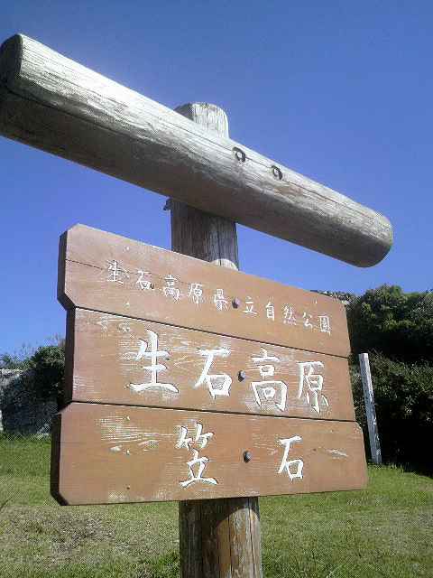 a0095546_22143820.jpg