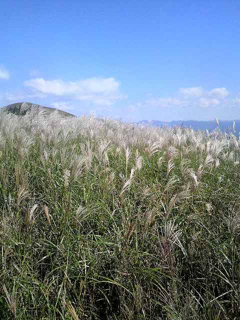 a0095546_22164140.jpg