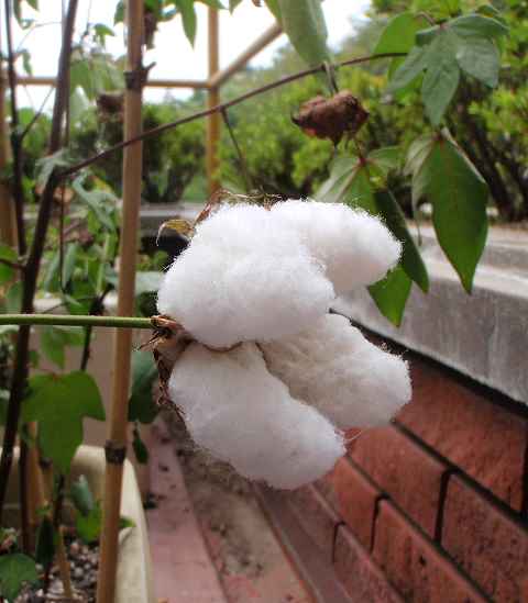 a0095546_2240252.jpg