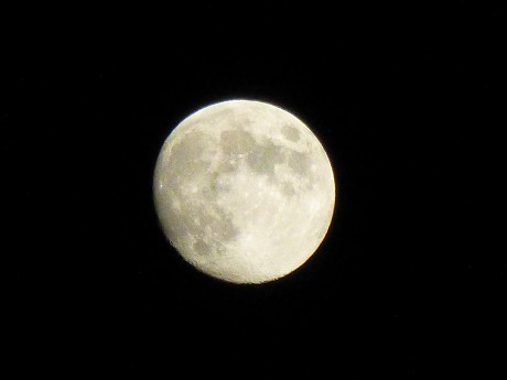 c0057946_2248544.jpg