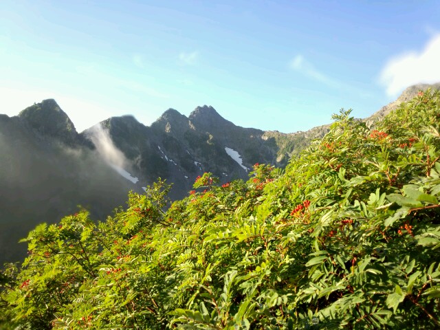 f0209354_5344498.jpg