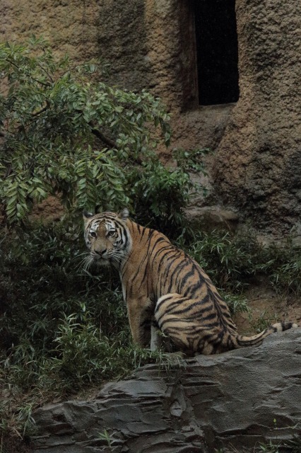 a0188771_044233.jpg