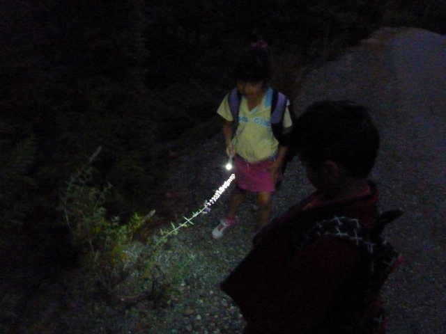 暗い!_c0080075_0231156.jpg
